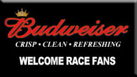 ad_budweiser.jpg